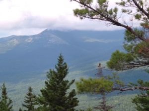 BaldfaceFromBlueberryJuly212013